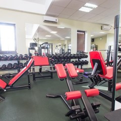 Отель Палисад, Всходы, Московская область