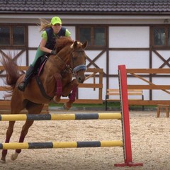 Отель Палисад, Всходы, Московская область