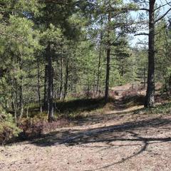 Гостевой дом Сканди Спа, Выборг, Ленинградская область