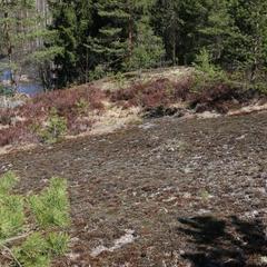 Гостевой дом Сканди Спа, Выборг, Ленинградская область