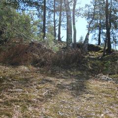 Гостевой дом Сканди Спа, Выборг, Ленинградская область