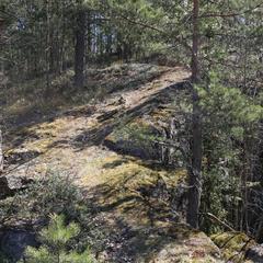 Гостевой дом Сканди Спа, Выборг, Ленинградская область