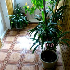 Гостиница Стелла, Выкса, Нижегородская область