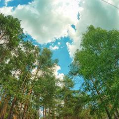 База отдыха Волна, Выползово, Рязанская область