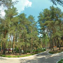 База отдыха Волна, Выползово, Рязанская область