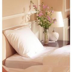 Отель Баташев, Выкса, Нижегородская область