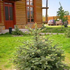 Рыболовная база Рыболовная база Ковчег, Вышка, Астраханская область