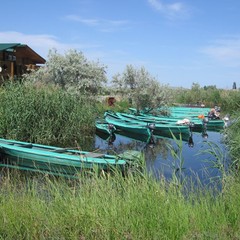 Рыболовная база Рыболовная база Ковчег, Вышка, Астраханская область