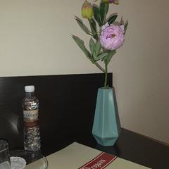 Отель Старый Городъ, Вытегра, Вологодская область