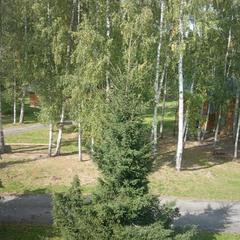 Турбаза Озерки, Вязники, Владимирская область