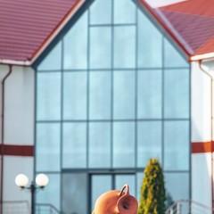 Отель Амфора, Вязьма, Смоленская область