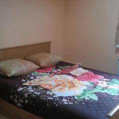 Гостиница Золотой Улей, Вязьма, Смоленская область