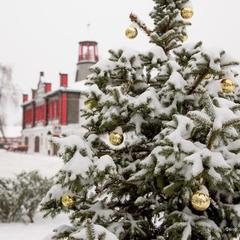 Гостиница Вятское, Вятское, Ярославская область