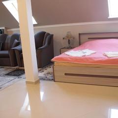 Отель Гжатск, Гагарин, Смоленская область