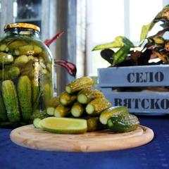 Гостиница Вятское, Вятское, Ярославская область