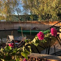 База отдыха Уютная, Гандурино, Астраханская область