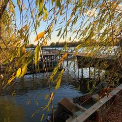 База отдыха Уютная, Гандурино, Астраханская область