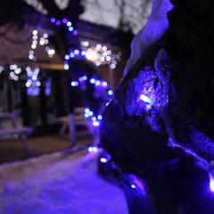 Гостиница Вятское, Вятское, Ярославская область