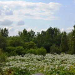 Гостиничный комплекс Орбита, Гатчина, Ленинградская область