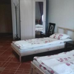 Гостиница Александрия, Гатчина, Ленинградская область