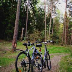 Отель Замковое имение Лангендорф, Гвардейск, Калининградская область