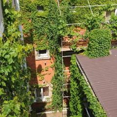 Мини-гостиница Камелот, Геленджик, Краснодарский край