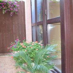 Гостевой дом На Тельмана, Геленджик, Краснодарский край