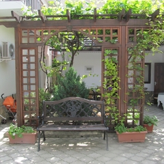 Гостевой дом Елена на Толстого, Геленджик, Краснодарский край