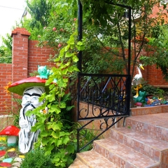 Гостевой дом Ольга, Геленджик, Краснодарский край