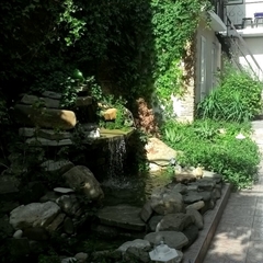 Гостевой дом Ольга, Геленджик, Краснодарский край