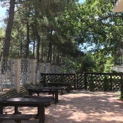 Отель Геленджик, Геленджик, Краснодарский край