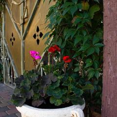 Отель Antonio Casa, Геленджик, Краснодарский край