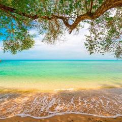 Отель Геленджик, Геленджик, Краснодарский край