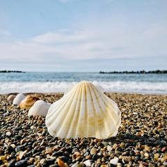 Отель Геленджик, Геленджик, Краснодарский край