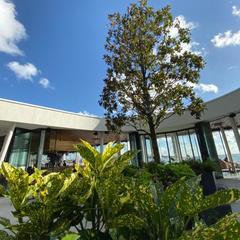 Отель Геленджик, Геленджик, Краснодарский край