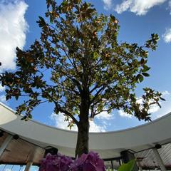 Отель Геленджик, Геленджик, Краснодарский край