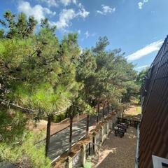 Отель Геленджик, Геленджик, Краснодарский край