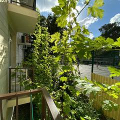 Отель Геленджик, Геленджик, Краснодарский край