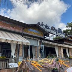 Отель Геленджик, Геленджик, Краснодарский край