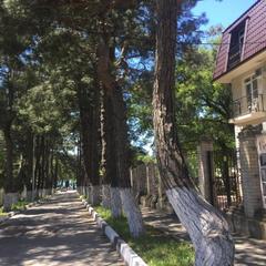 Отель Геленджик, Геленджик, Краснодарский край