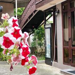 Гостевой дом Островок, Геленджик, Краснодарский край