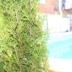 Мини-отель На Толстого 23, Геленджик, Краснодарский край