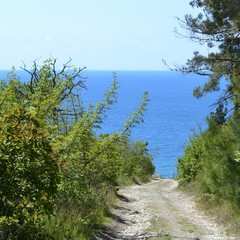 Апарт-отель Тихая бухта, Геленджик, Краснодарский край