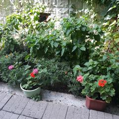 Хостел Nomera Standart, Геленджик, Краснодарский край