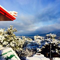 Гостевой дом Пекинский Дворик, Геленджик, Краснодарский край