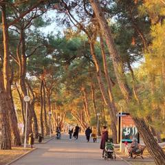 Гостиничный комплекс Дача, Геленджик, Краснодарский край