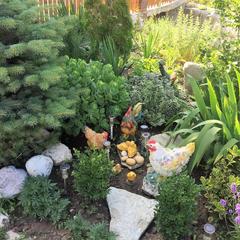 Гостевой дом Дом Путешественника, Геленджик, Краснодарский край