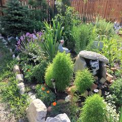 Гостевой дом Дом Путешественника, Геленджик, Краснодарский край