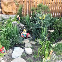 Гостевой дом Дом Путешественника, Геленджик, Краснодарский край