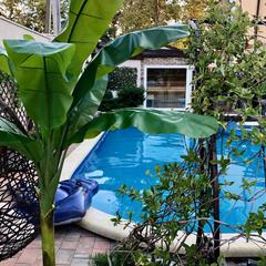 Вилла Астель, Геленджик, Краснодарский край